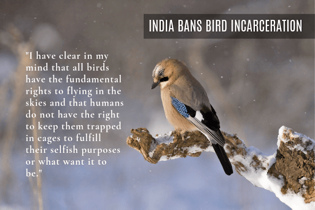 ndia Bans Bird incarceration