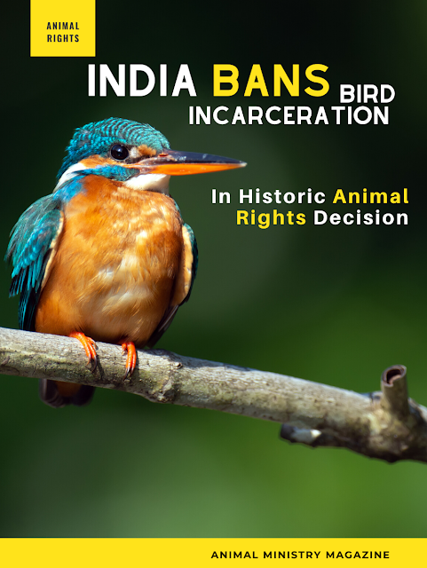 ndia Bans Bird incarceration