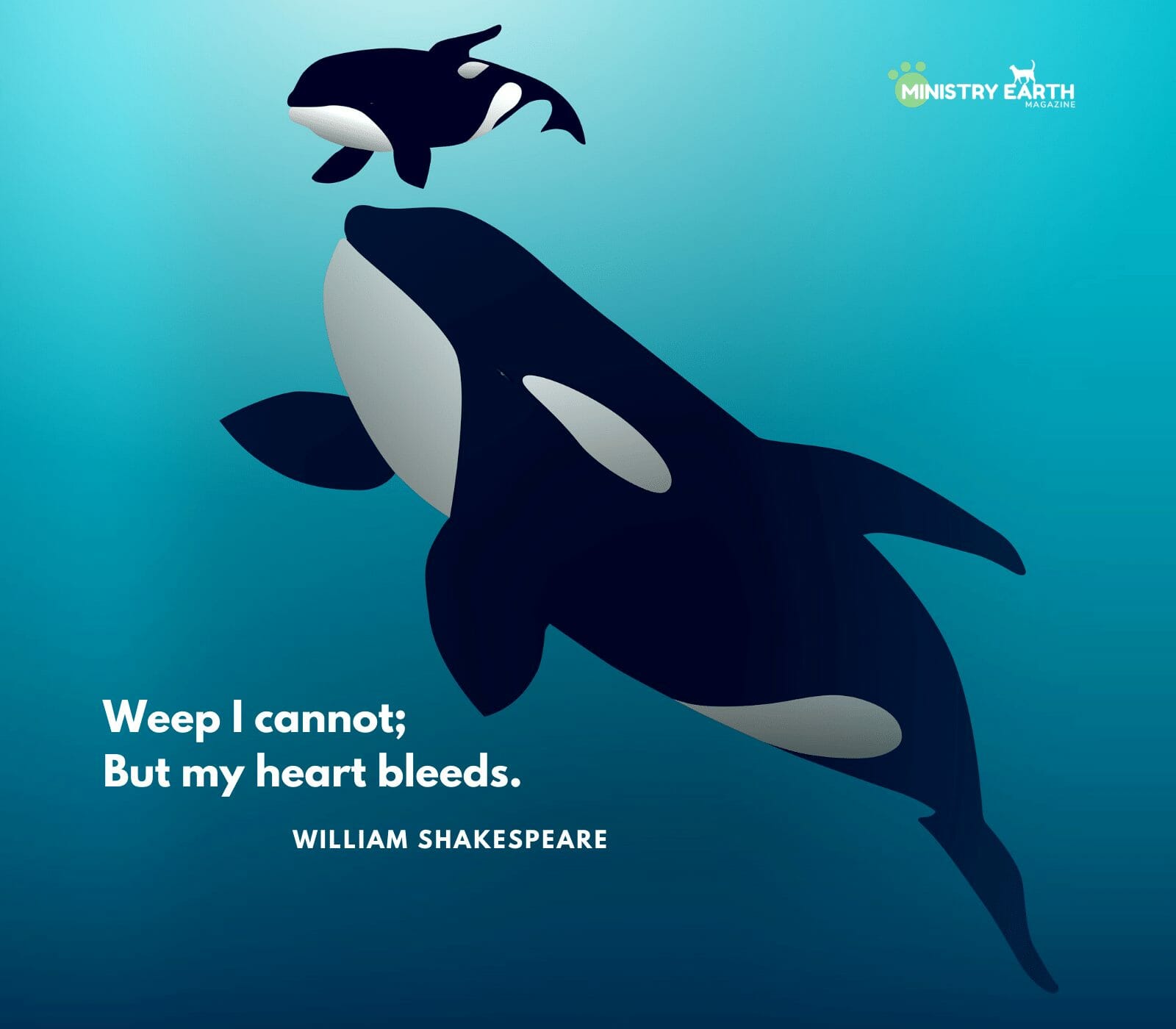 Animal mourning animal Grieving