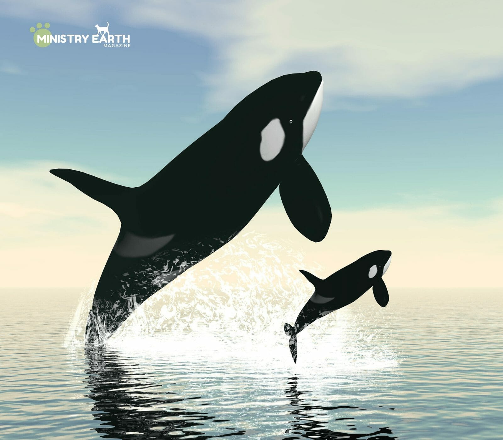 Animal mourning Ministry Earth