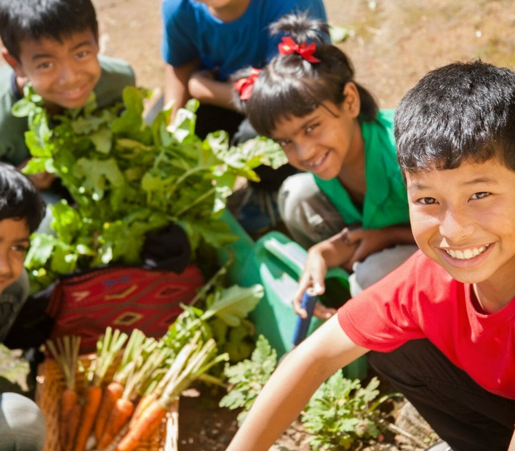 school gardens