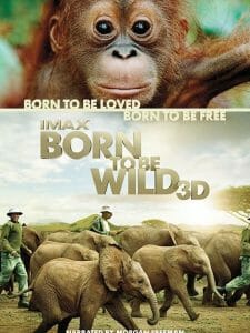 Born to Be Wild-ethical documentary