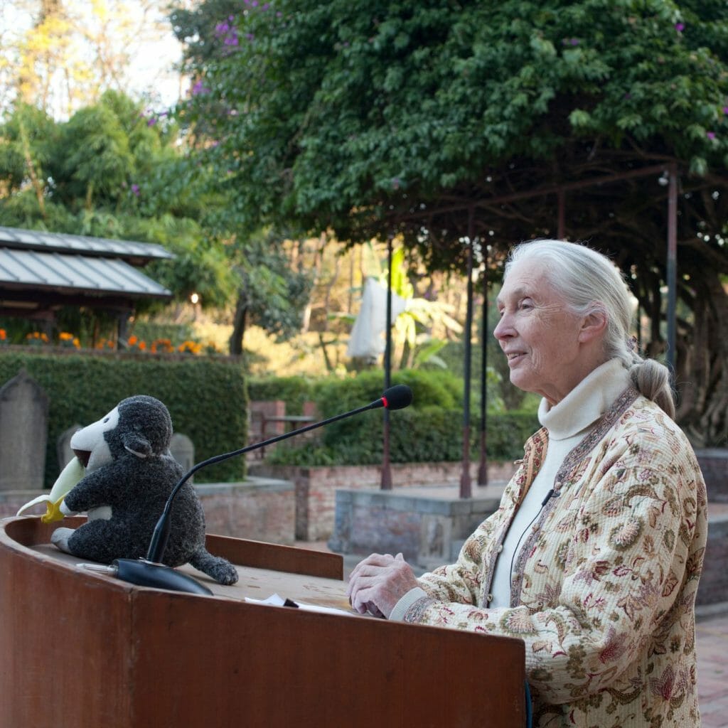 Jane Goodall and Sentient projects
