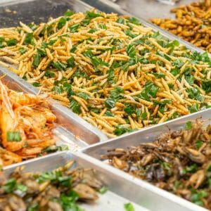 Lovely Grub, Insects as the future of food